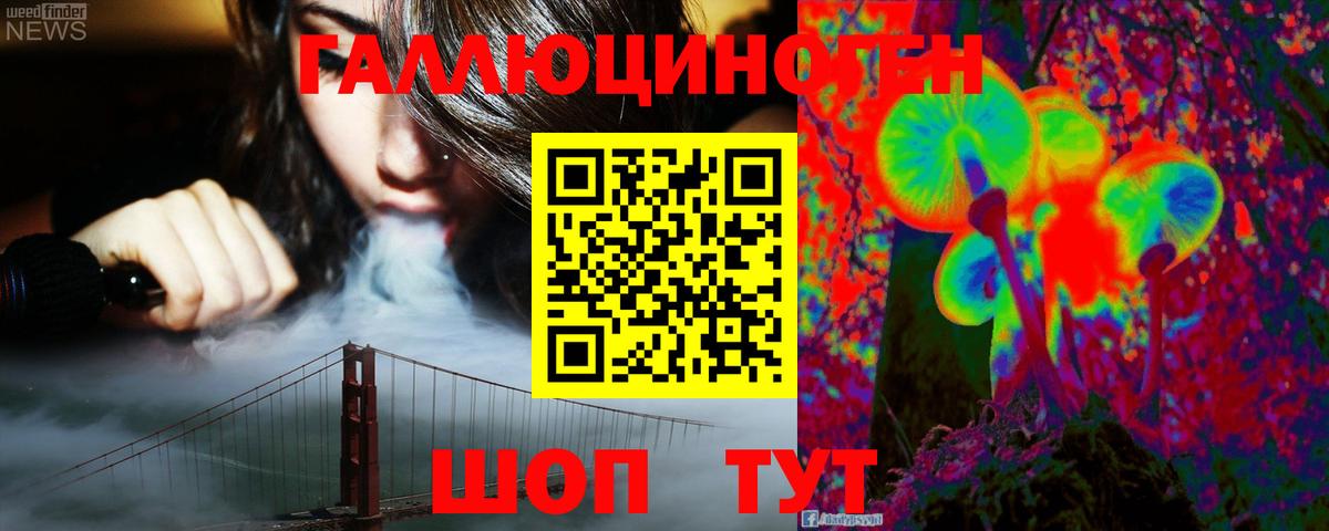 Псилоцибиновые грибы Psilocybine cubensis Сальск
