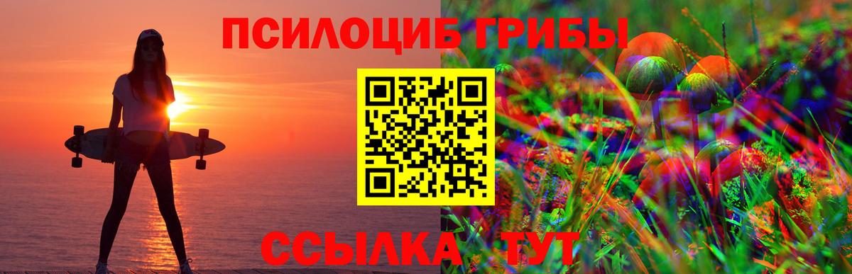 Псилоцибиновые грибы мухоморы  Вход с VPN  Сальск 